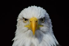 DSC_0138.jpg