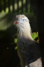 DSC_0162.JPG