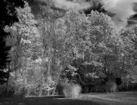 _AAA1614 - Version 2.jpg