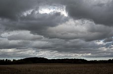 _DSC0504.jpg