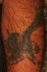 IMG_0119 (831x1280).jpg