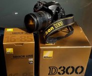 Nikon D300_16-85mm_sm.jpg