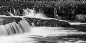 DSC_1192_4527-3.jpg