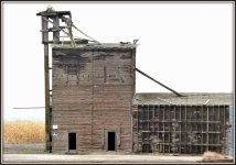 SUNNYSIDE L 245 Stitch.jpg