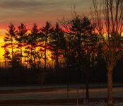 DSC_1147.jpg