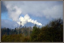 skagit 1 147.JPG