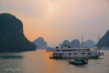 DSC_1540.jpg