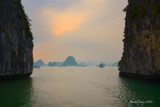 DSC_1543.jpg