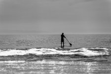 D8A_0739-Edit-2-3-sm.jpg