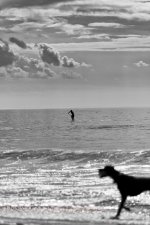 D8A_0765-Edit-2.jpg