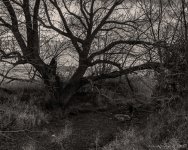 DSC_1668.jpg