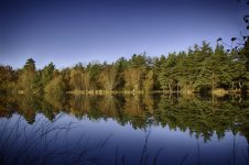 NRS0001_Thursley.jpg NRS0001_Thursley.jpg