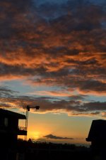 DSC_0519-1200.jpg