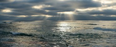 D8A_1110-PAN1-Edit-sm2.jpg