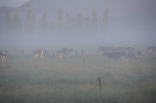 DSC_5147.JPG