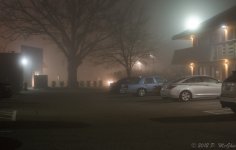 DSC_1337.jpg