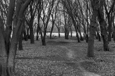 DSC_1819.jpg