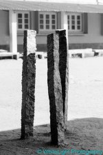 20121114-DSC_3568.jpg