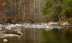 _DSC2376.jpg