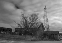 DSC_1516.jpg