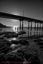 D8A_0168-Edit-sm.jpg