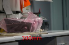 DSC_1659.jpg