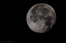 DSC_1644.jpg