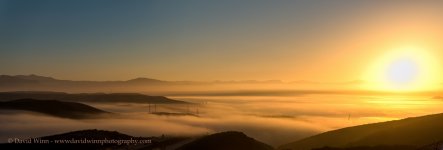 pan-2-Edit-ps-sm.jpg