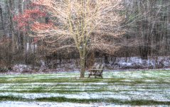 DSC_1694_5_6_tonemapped.jpg