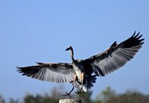 _DSC3280.jpg