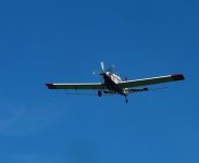DSC_0809.jpg