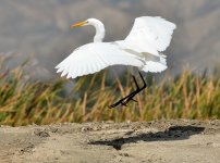 17th Oct 2015 040.JPG