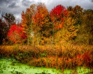 PA170095_tonemapped.jpg