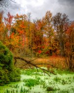 PA170096_tonemapped-2.jpg