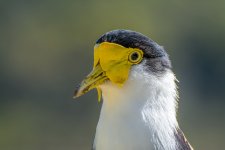 DSC_5459.jpg