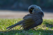 DSC_5465.jpg