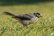 DSC_5542.jpg