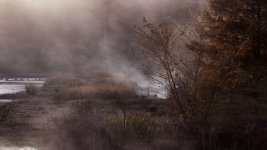 Morning Mist- (1000x563).jpg