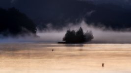 Morning Mist--3 (1000x562).jpg