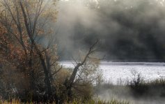 Morning Mist--4.jpg