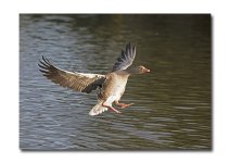 DSC_4813.jpg