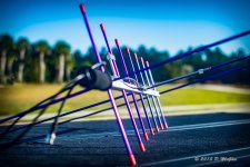 D71_7231-Edit.jpg