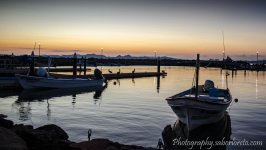 DSC_05701.jpg
