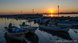 DSC_0605.jpg