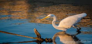 DSC_0614.jpg