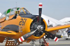DSC_0720.jpg