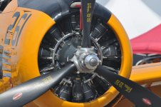 DSC_0723.jpg