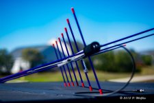 D71_7220-Edit.jpg