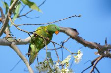 DSC_2604.jpg