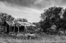 DSC_0507.jpg